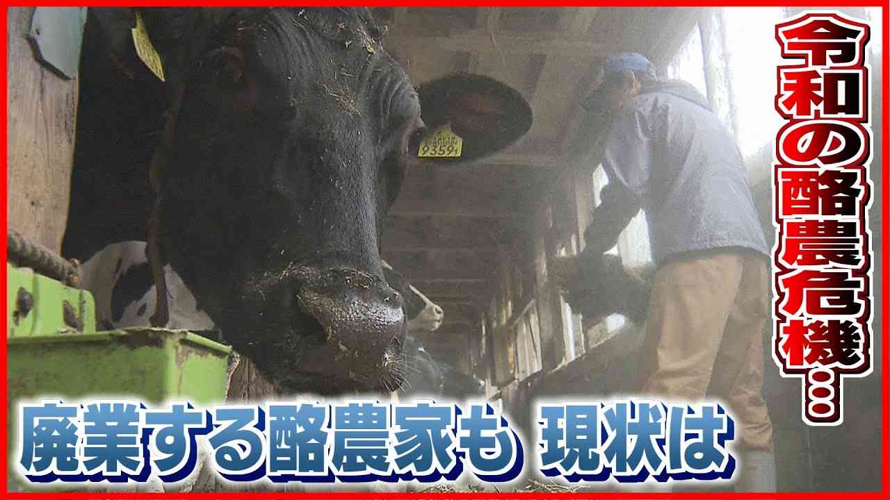 【令和の酪農危機】廃業する酪農家も相次ぐ現状とは…　《新潟》 - YouTube