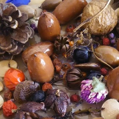 おたやま on Twitter: 