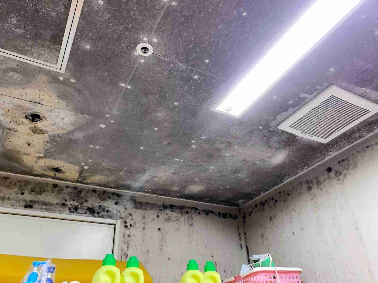 「おぞましい」無抵抗の精神科患者もてあそび、笑っていた看護師たち　神出病院虐待事件、なぜ集団で黙認（神戸新聞NEXT） - Yahoo!ニュース