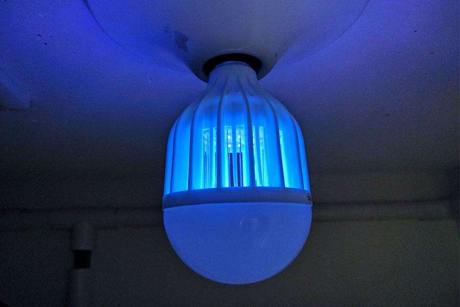 LED電球に「殺虫灯」が合体！ 虫をバチッと退治するアレが家でできちゃう - 価格.comマガジン