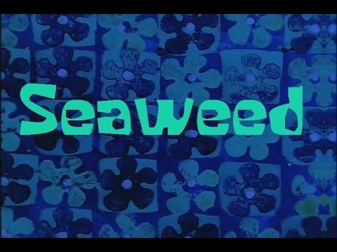 SpongeBob Production Music Seaweed - YouTube