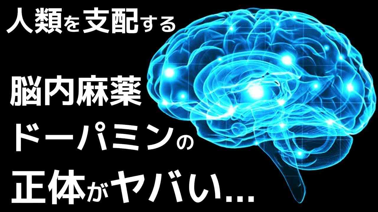 【衝撃】ドーパミンの正体がとんでもなくやばい… - YouTube