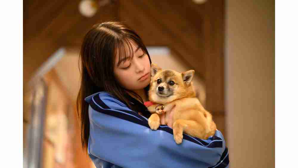 みんなから愛されるネギを大解剖！『王様に捧ぐ薬指』