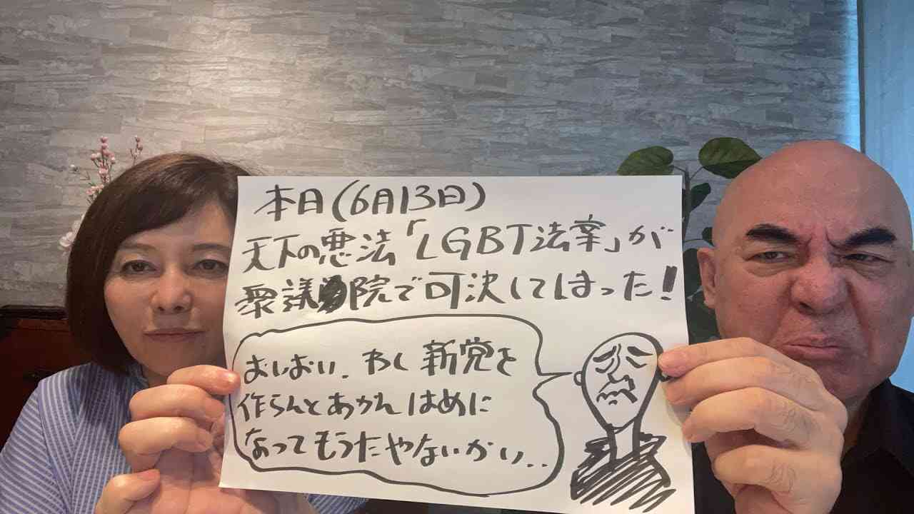 LGBT法案が衆議院で可決！新党結成がいよいよ現実味を帯びてきた…? - YouTube