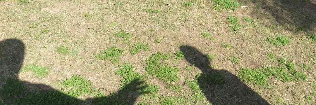 12人の子どもに手をかけた小児性愛者が語った、再犯防止治療「驚愕の実態」（週刊現代） | 現代ビジネス | 講談社（1/4）