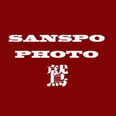 サンスポ×EAGLES on Twitter: 