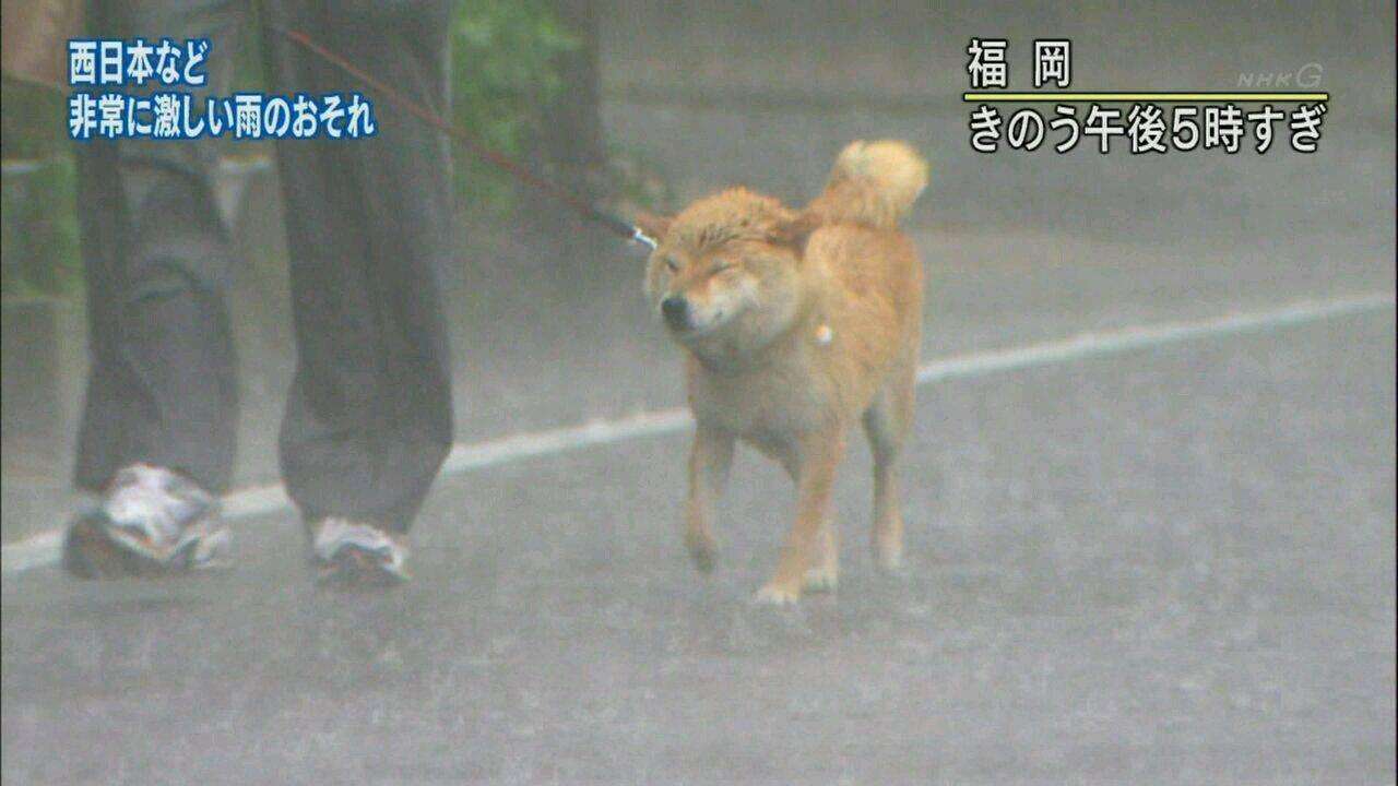 [悲しみ]トピが盛り上がらん[トピ主集合]part4