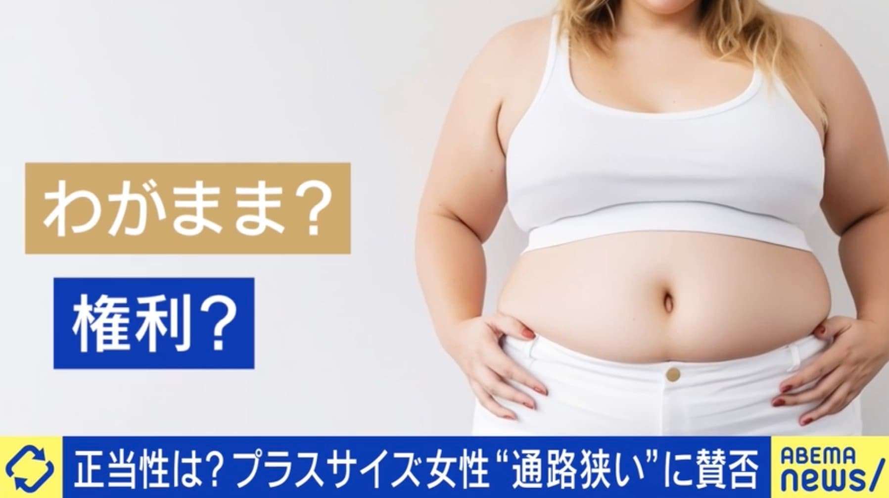 「座席・通路を大柄な乗客のために広くすべき」 米女性インフルエンサーの主張はわがままか権利か？ 元関脇・豊ノ島「気持ちはわかるが、差別とは違う」 | 国際 | ABEMA TIMES | アベマタイムズ