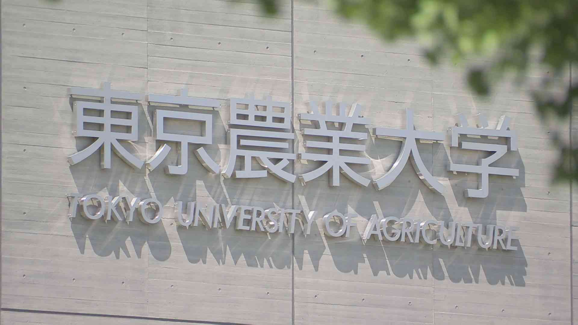 【速報】東京農大のボクシング部員ら2人を逮捕　大麻営利目的所持の疑い　職務質問で発覚　寮に家宅捜索も　警視庁 | TBS NEWS DIG