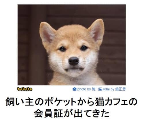 アニメや漫画に出てくる動物をもし実写化したら？を探そう