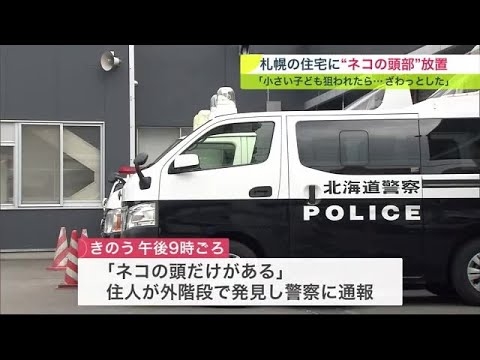 「ネコの頭だけがある」住宅敷地内に