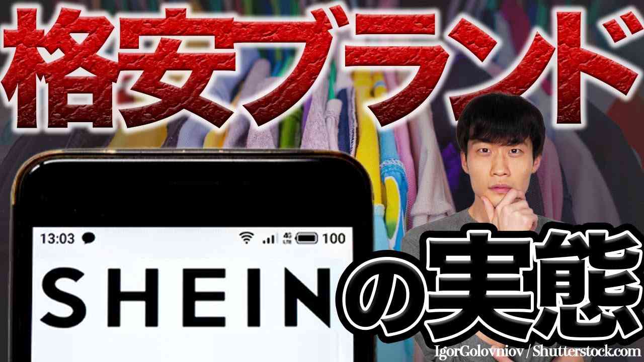SHEINの「闇」を暴露します【買う前に絶対観てください】 - YouTube