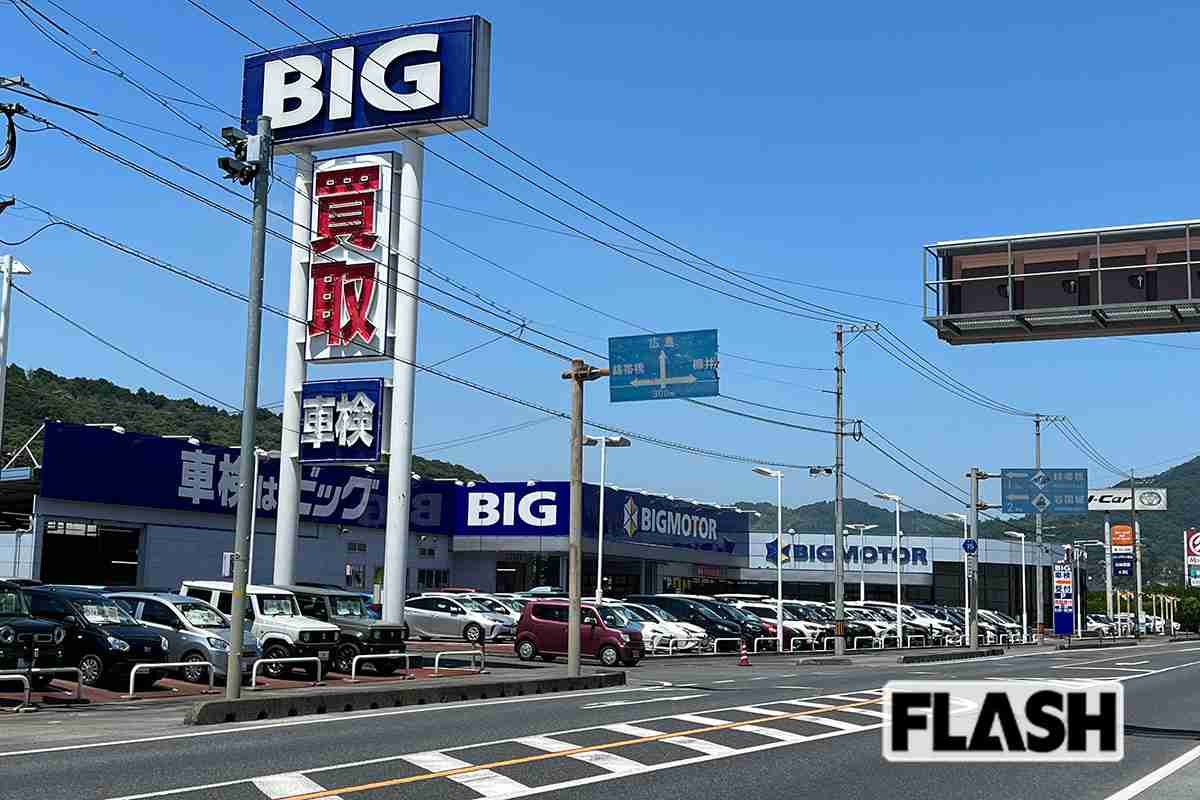 「保険金水増し請求」ビッグモーター、店舗前の街路樹が次々と「枯死」の謎　SNSで検証写真が続々アップ | Smart FLASH/スマフラ[光文社週刊誌]