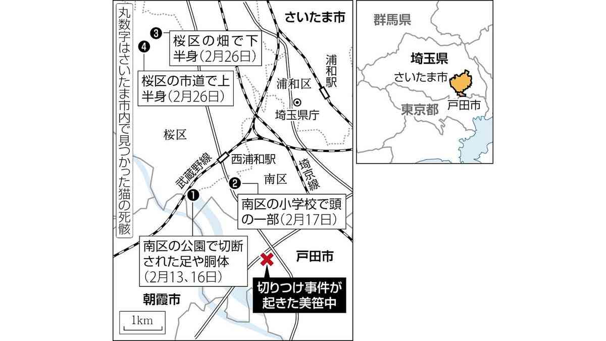 中学校切りつけ、逮捕の高校生「猫は俺がやった」…さいたま市内で４か所、切断された死骸発見 : 読売新聞