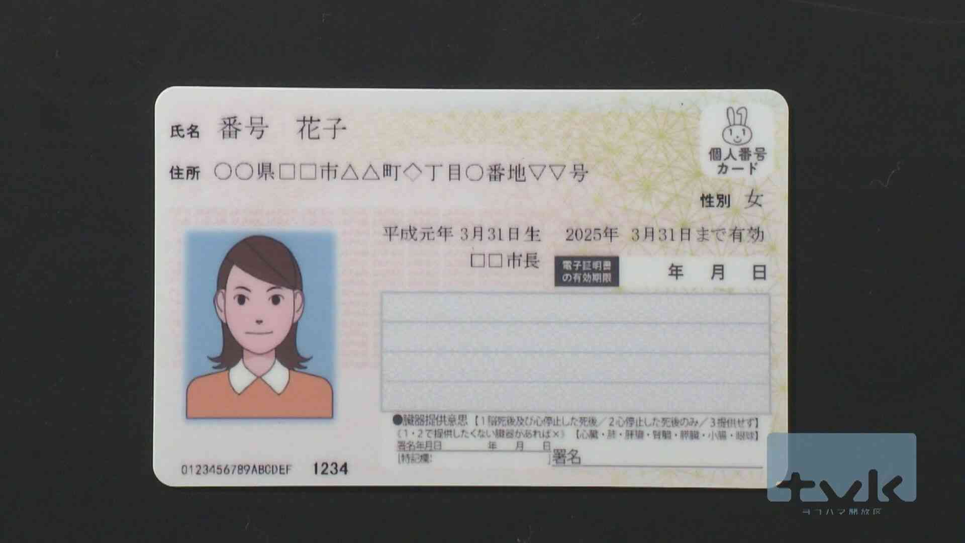 マイナ交付システムまたトラブル…横浜市は緊急停止（tvkニュース（テレビ神奈川）） - Yahoo!ニュース