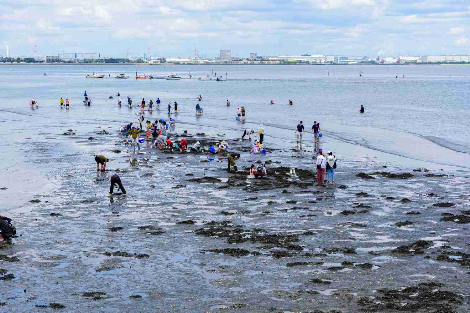 「密漁」ツアーに勤しむ中国人観光客たち。トランクいっぱいに海産物を持ち去り…（週刊SPA!） - Yahoo!ニュース