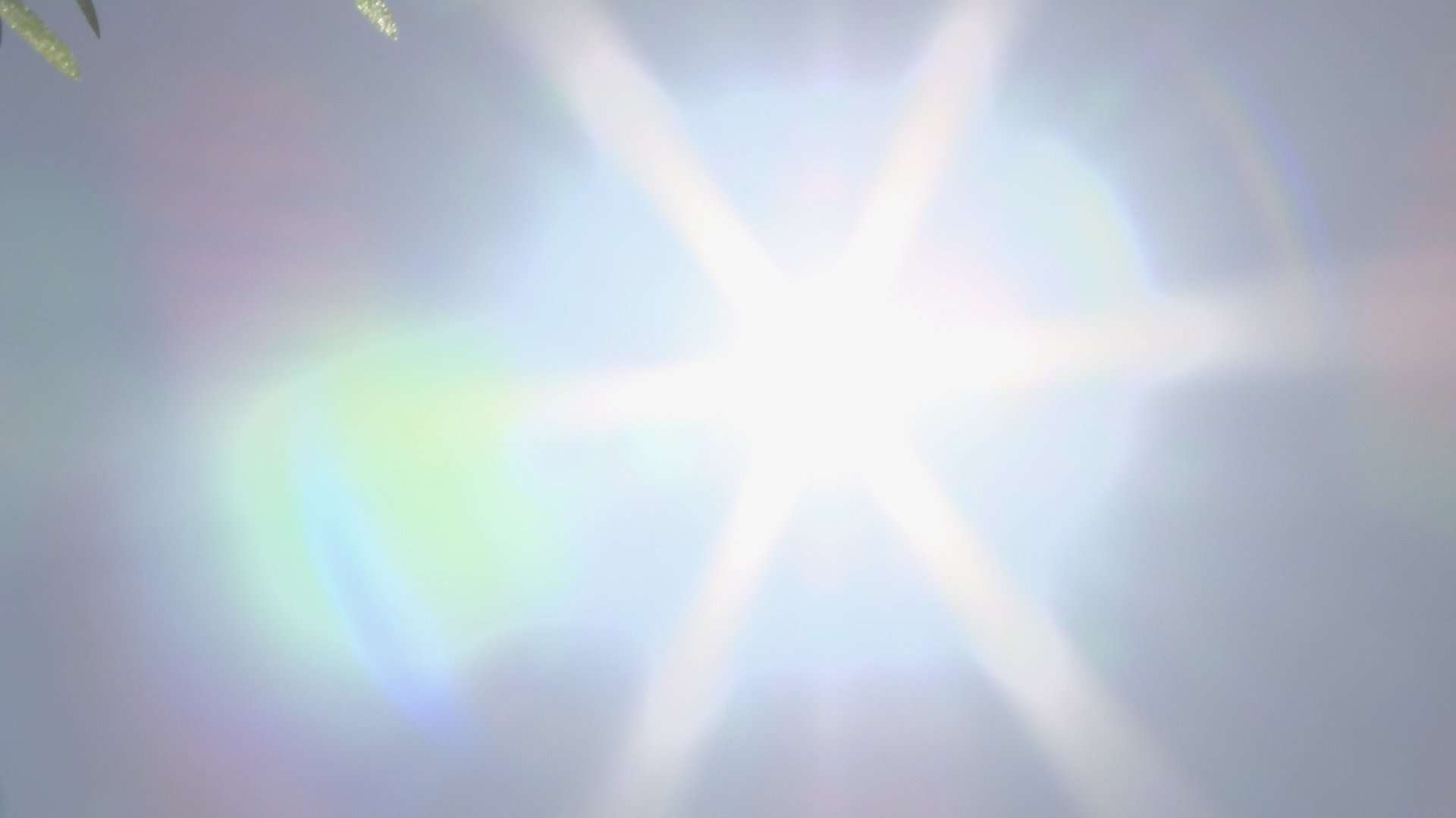 あす、1都8県に「熱中症警戒アラート」発表　関東と愛知・徳島は今年初 | TBS NEWS DIG