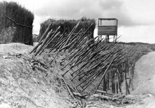 「ベトナム村」内部写真発見　６０年代、米軍北部訓練場 - 琉球新報デジタル｜沖縄のニュース速報・情報サイト
