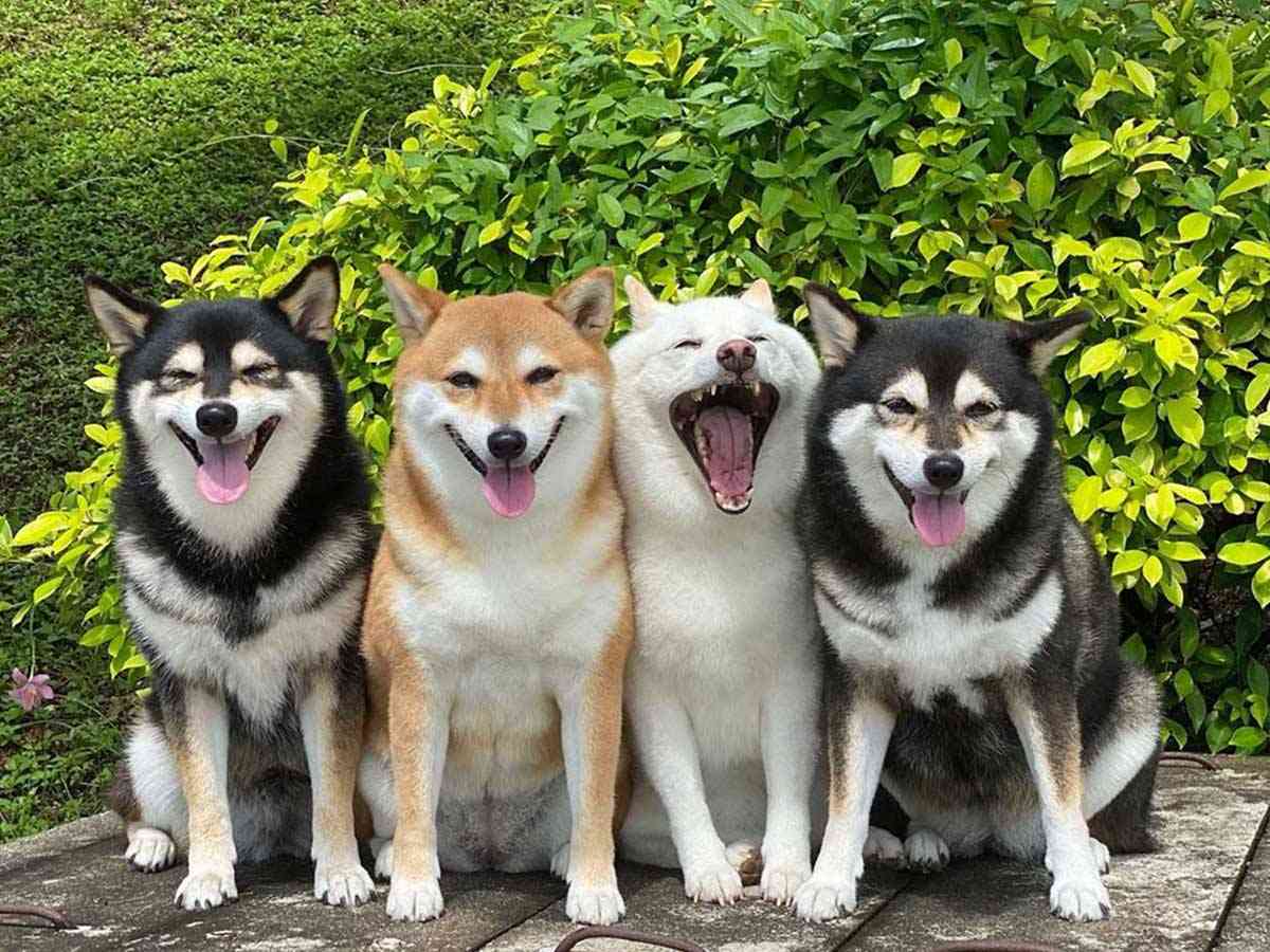 ちょっと一言　〜画像を添えて〜part4