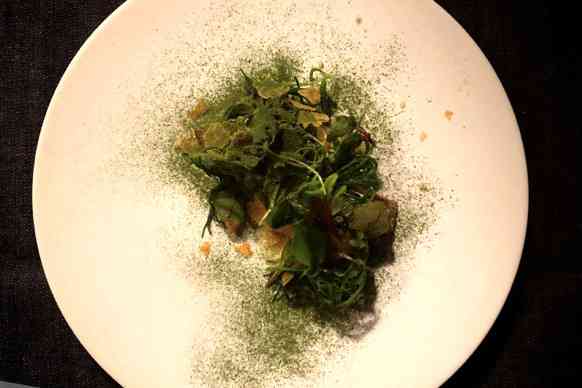 代々木上原の人気フレンチ「グリ(Gris)」跡地、同シェフ鳥羽周作による「シオ(sio)」誕生 - ファッションプレス