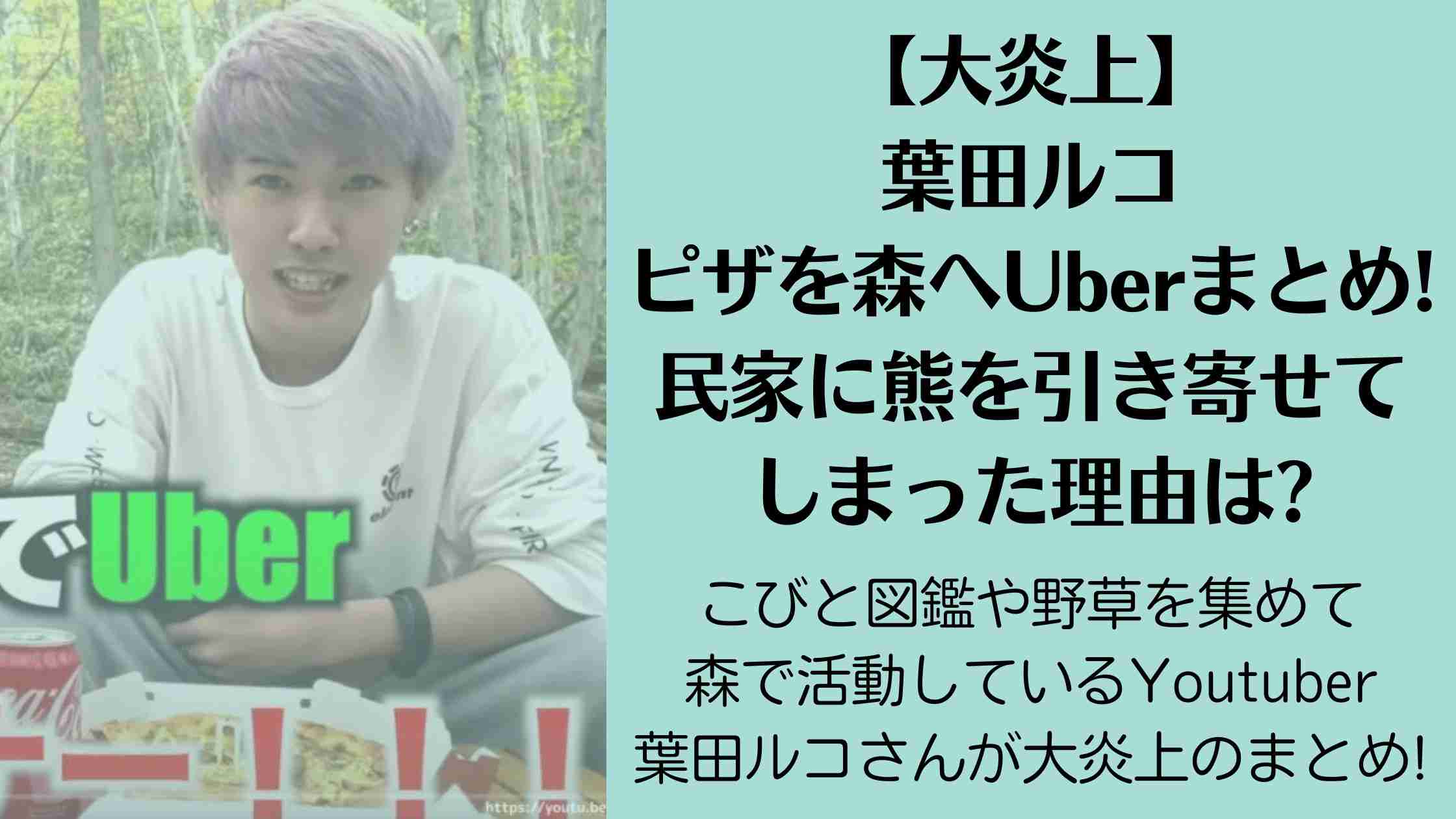 【大炎上】葉田ルコがピザを森へUberまとめ!民家に熊を引き寄せてしまった理由は? | しろくまはハングリー