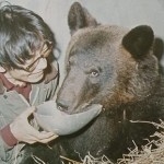 ムツゴロウ(畑正憲)は発情期を迎えた熊にパンチで応戦していた！ | こいもうさぎのブログ