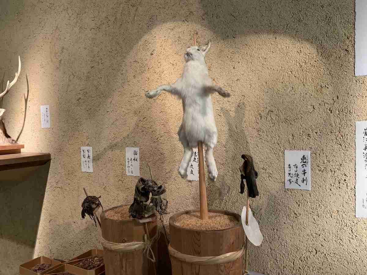 【閲覧注意かも？】衝撃を受けた画像・GIFを貼るトピ