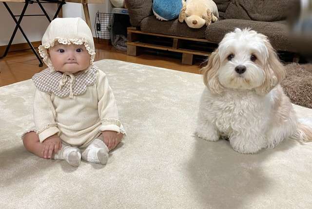 絵に描いたような幸せな家庭