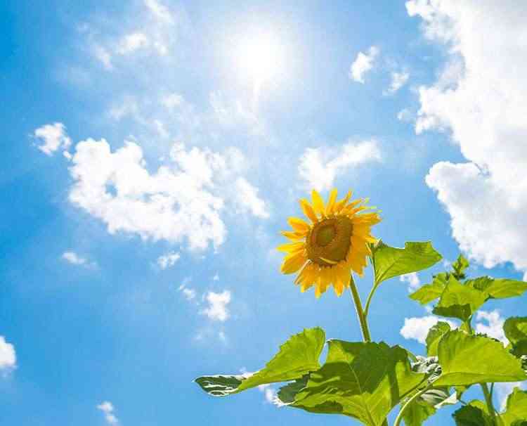 今月の雑談トピ【2023年8月】