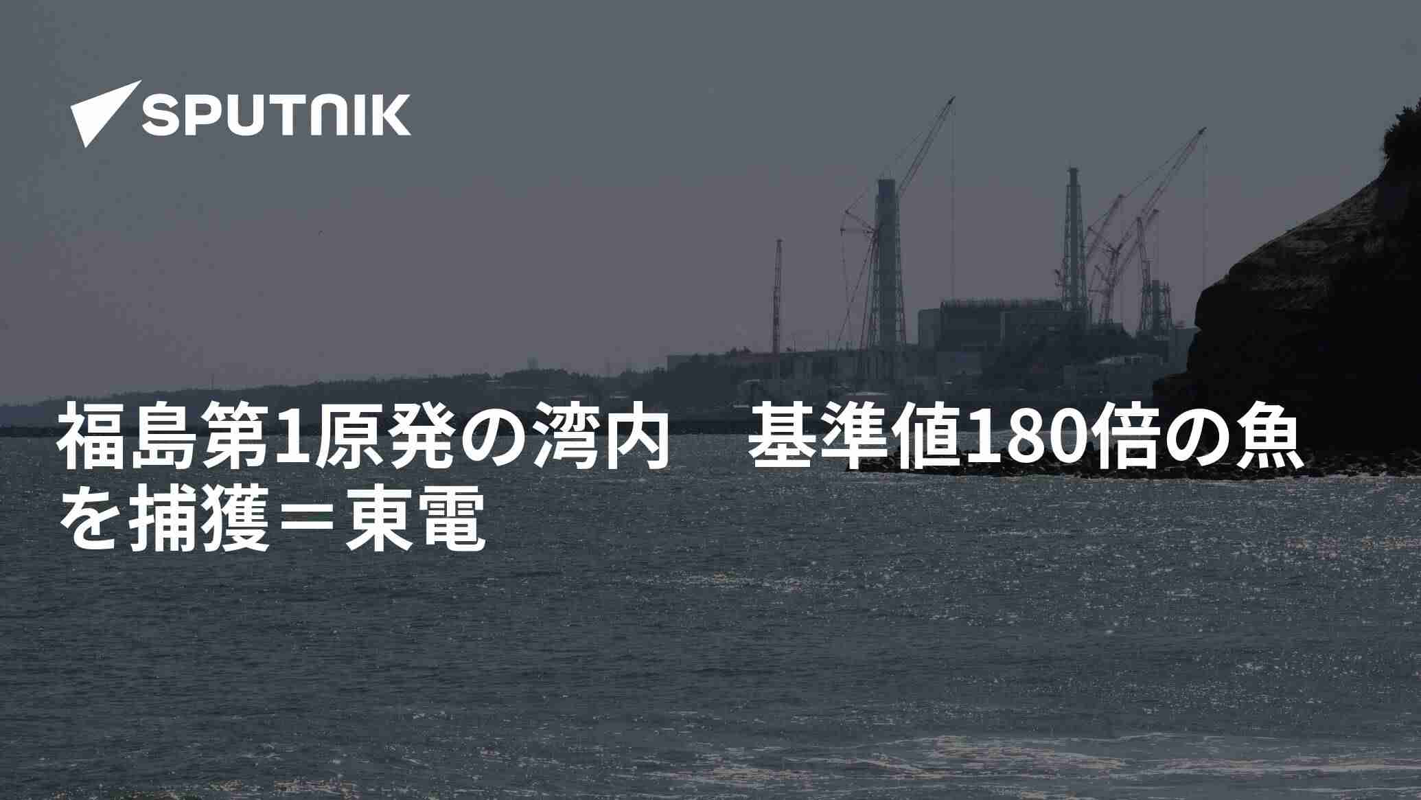 福島第1原発の湾内　基準値180倍の魚を捕獲＝東電 - 2023年6月5日, Sputnik 日本