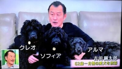 吉田鋼太郎、22歳年下妻と2歳長女を連れて引っ越した理由は愛犬のご近所トラブル、“ペット飼育可”マンションなのに「鳴き声うるさい」悩まされた苦情