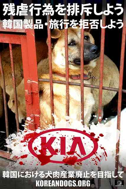 動物虐待か？伝統文化か？ 糸満ハーレー関連行事「アヒル取り競争」に批判相次ぐ　沖縄