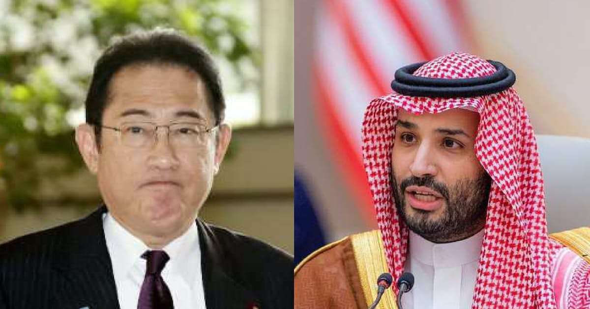 日本とサウジアラビア、レアアース開発で共同投資合意へ - 日本経済新聞