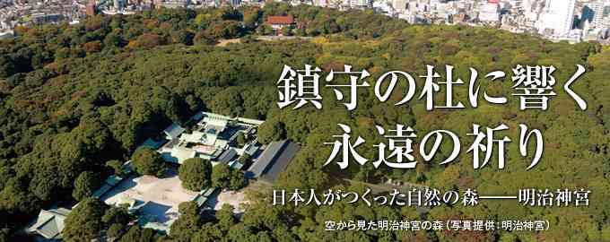日本人が作った森 「明治神宮」　後編 | ナショナル ジオグラフィック日本版サイト