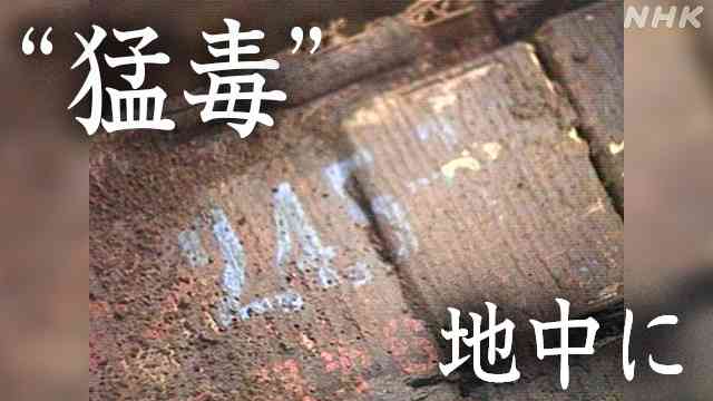 枯れ葉剤の原料 漏れ出す懸念も 負の遺産をどうする？ | NHK | WEB特集 | おはよう日本