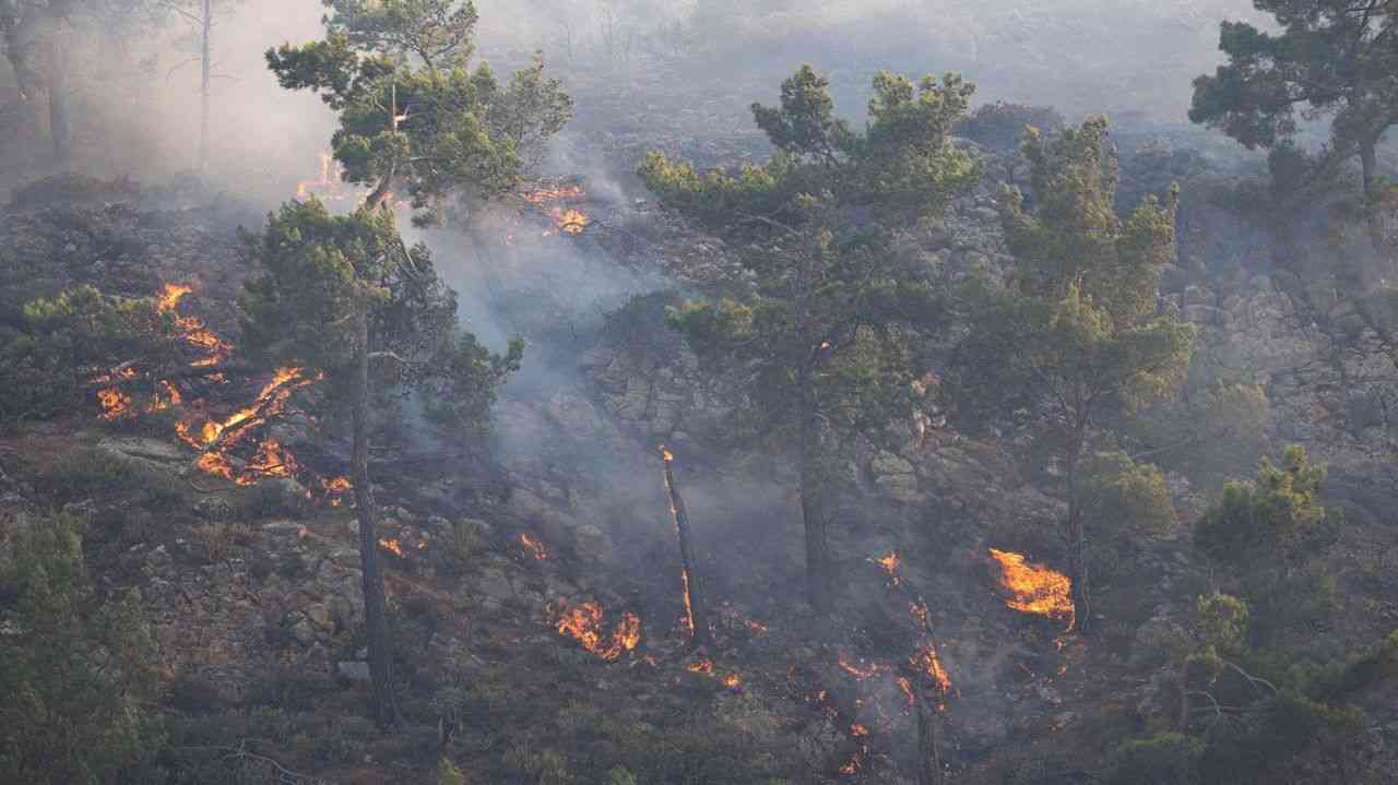 ギリシャで山火事拡大 2000人避難 - Yahoo!ニュース