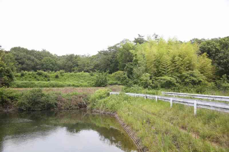 神戸6歳遺棄　「あざ」通告、48時間以内に確認せず　市が手順違反（毎日新聞） - Yahoo!ニュース