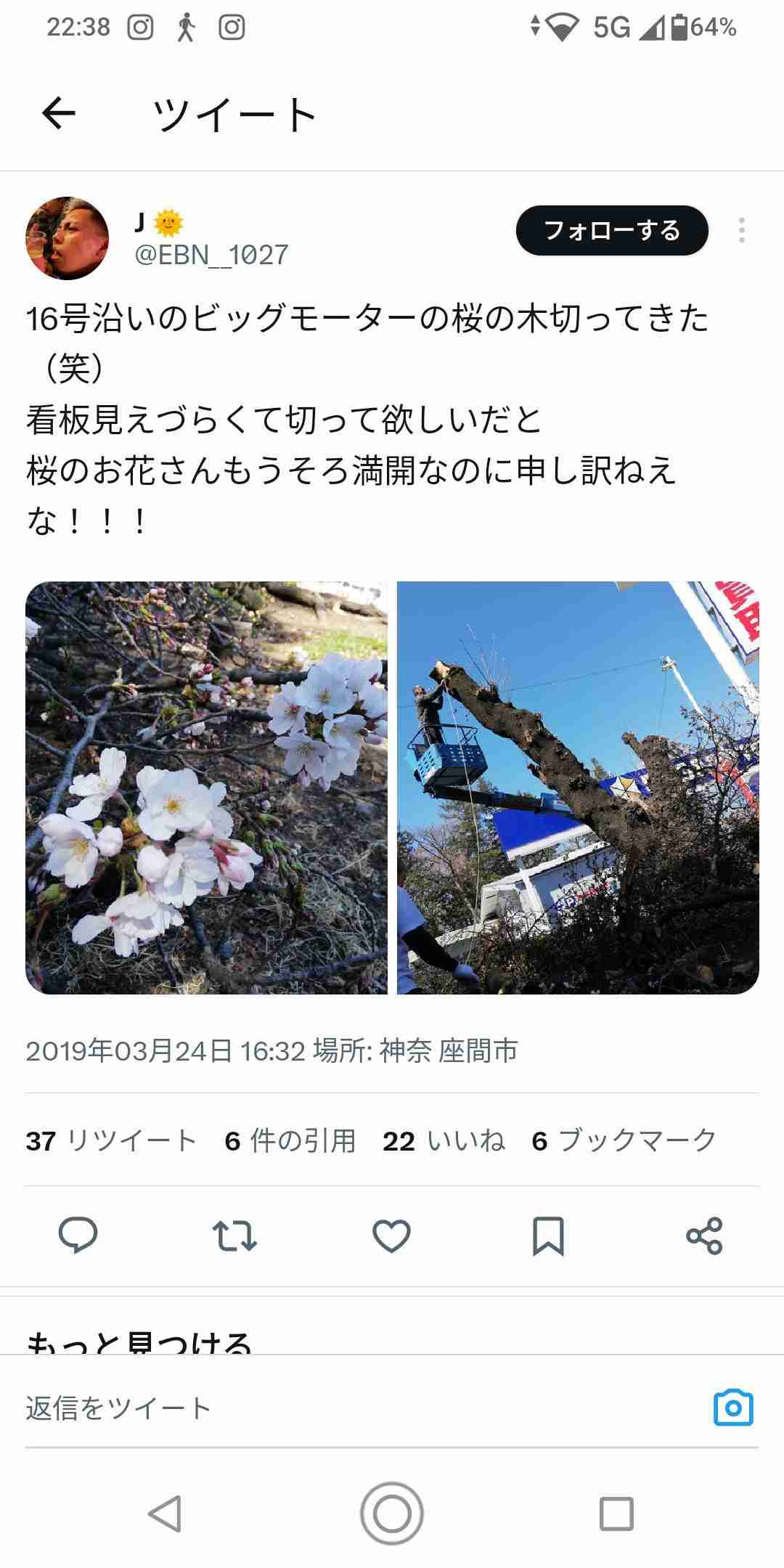 「保険金水増し請求」ビッグモーター、店舗前の街路樹が次々と「枯死」の謎…兼重社長は会見でどう答えた？