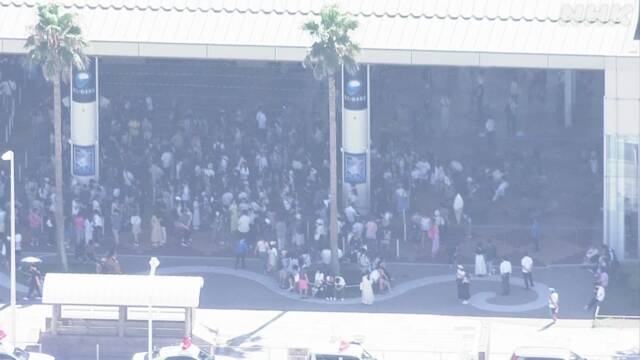 夏休みでにぎわう水族館 不審者通報で一時騒然 神奈川 藤沢 | NHK | 神奈川県