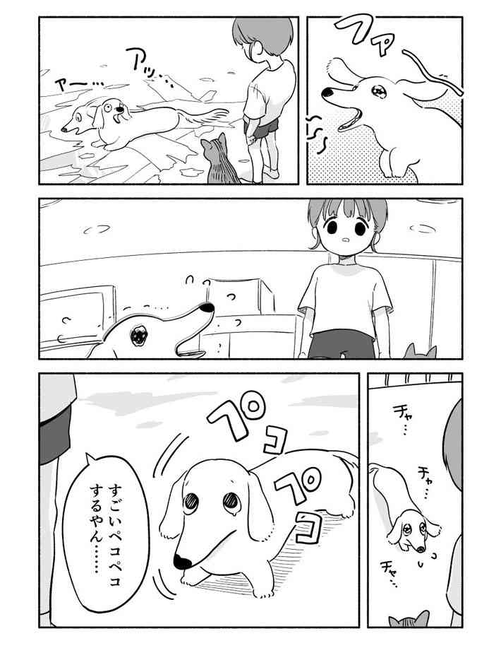 夜中にイタズラをした犬と猫　翌朝、怒られる気配を察知した２匹は…真逆の反応すぎる！