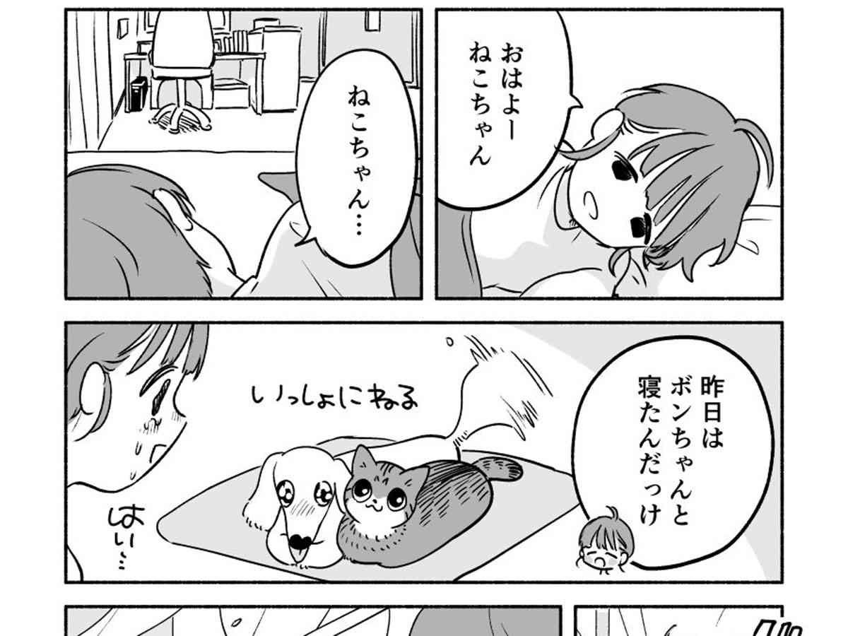 夜中にイタズラをした犬と猫　翌朝、怒られる気配を察知した２匹は…真逆の反応すぎる！  –  grape [グレイプ]