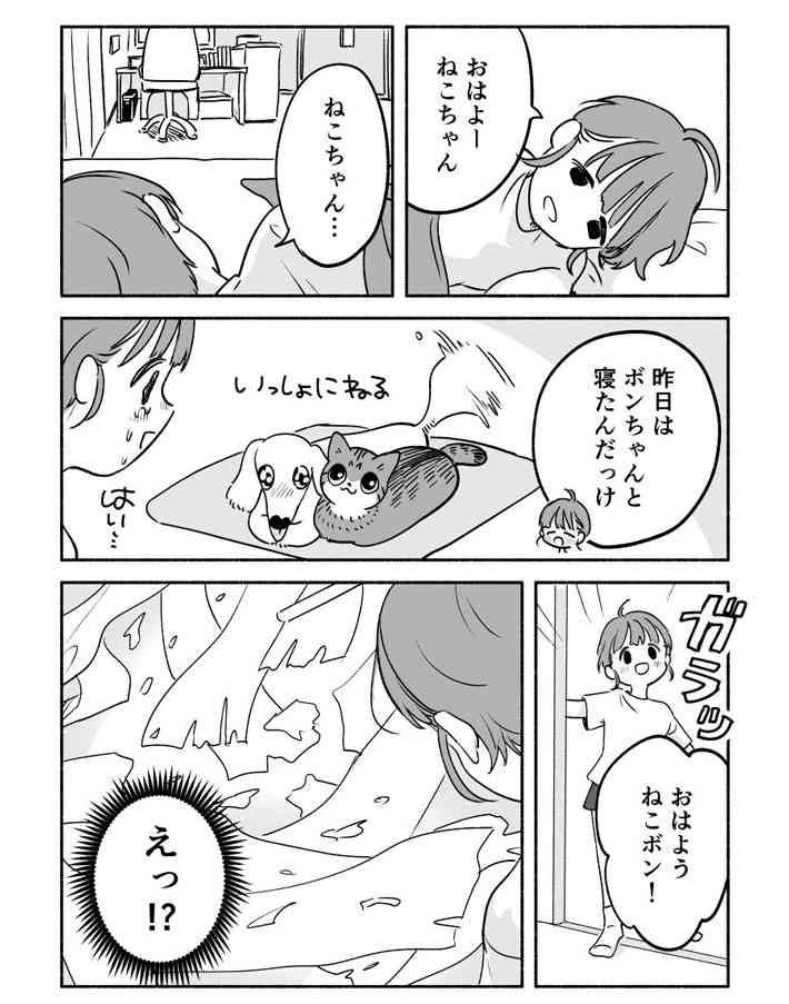 夜中にイタズラをした犬と猫　翌朝、怒られる気配を察知した２匹は…真逆の反応すぎる！