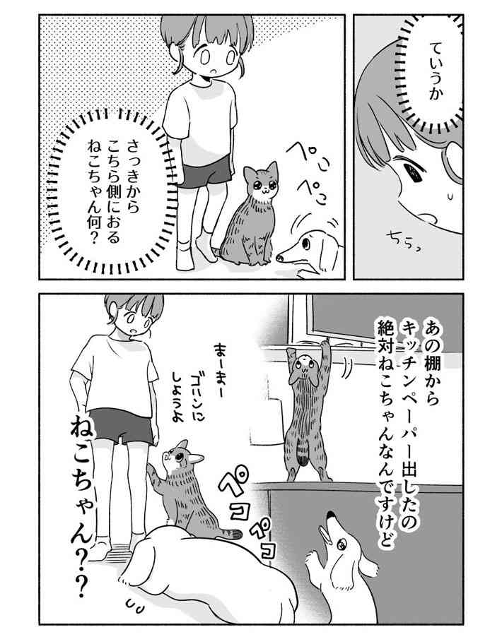 夜中にイタズラをした犬と猫　翌朝、怒られる気配を察知した２匹は…真逆の反応すぎる！