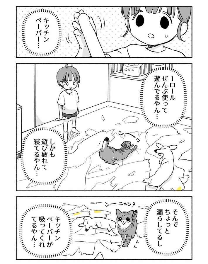 夜中にイタズラをした犬と猫　翌朝、怒られる気配を察知した２匹は…真逆の反応すぎる！