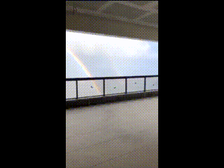 寝る前に穏やかな気持ちになる画像やGIFを貼るトピ