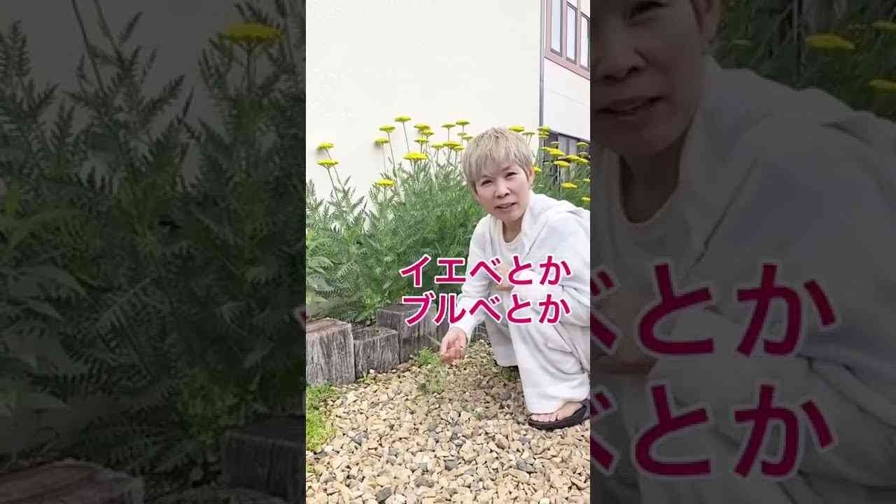 #shorts オバべ？ってなに？ - YouTube