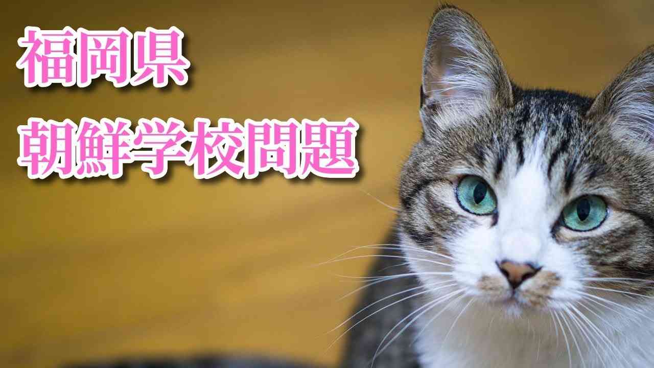 福岡県朝鮮学校問題　01 - YouTube