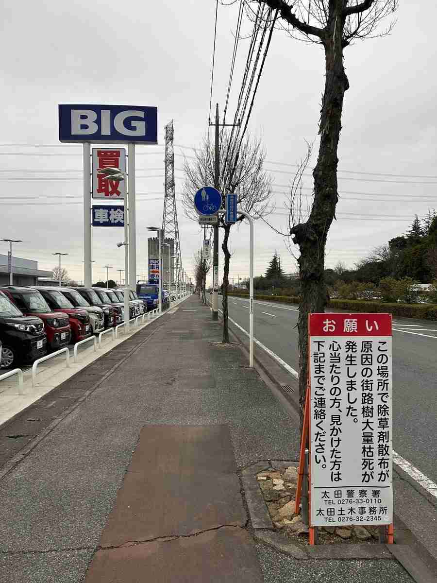 「保険金水増し請求」ビッグモーター、店舗前の街路樹が次々と「枯死」の謎…兼重社長は会見でどう答えた？