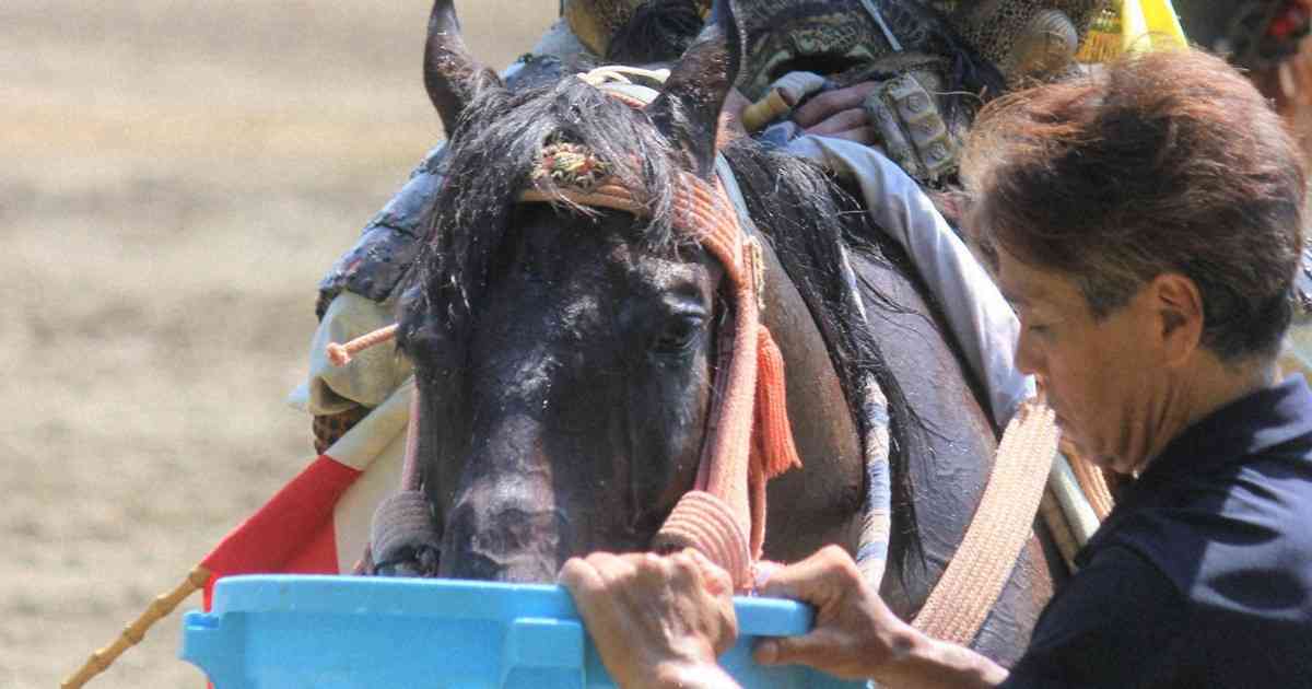 相馬野馬追で馬2頭が日射病で死ぬ　期間中観客ら83人熱中症や疑い | 毎日新聞