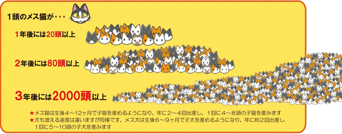犬猫殺処分4年連続ゼロ　奈良市　週末に譲渡会、ボランティア委託…トリミング、しつけ訓練でアピールも